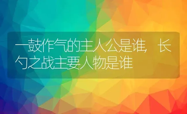 一鼓作气的主人公是谁,长勺之战主要人物是谁 | 养殖学堂