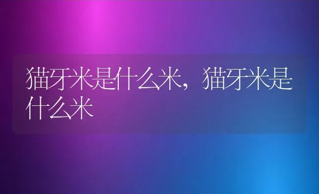 猫牙米是什么米,猫牙米是什么米 | 养殖科普