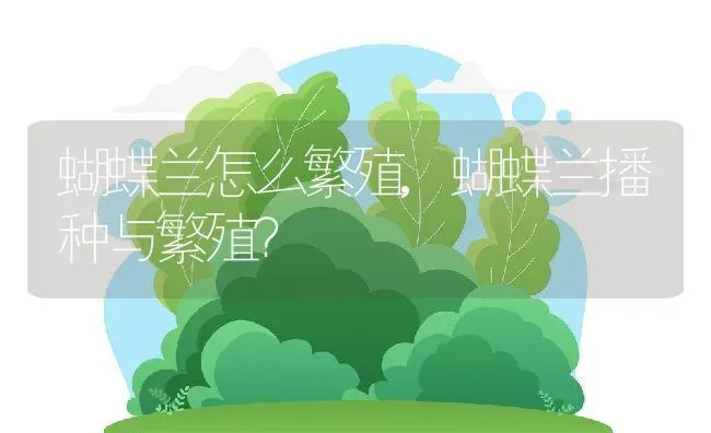 蝴蝶兰怎么繁殖,蝴蝶兰播种与繁殖？ | 养殖学堂