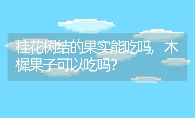 桂花树结的果实能吃吗,木樨果子可以吃吗？ | 养殖科普