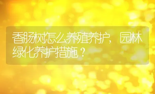 香肠树怎么养殖养护,园林绿化养护措施？ | 养殖科普
