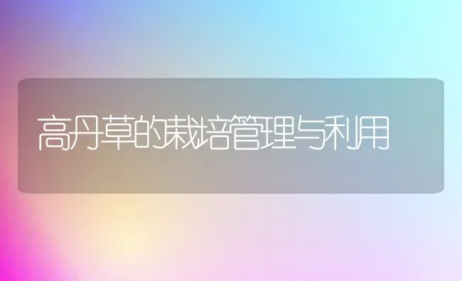 高丹草的栽培管理与利用 | 养殖技术大全