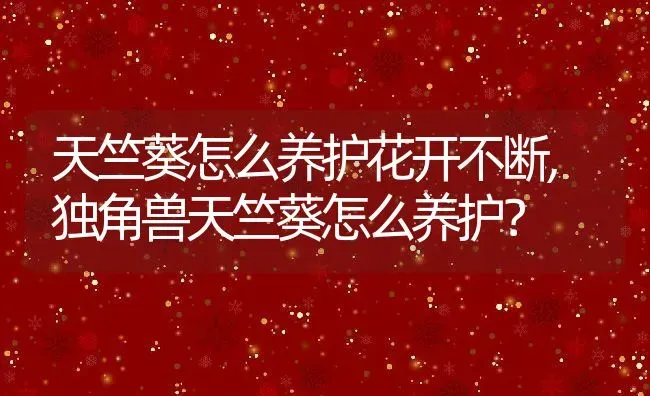 天竺葵怎么养护花开不断,独角兽天竺葵怎么养护？ | 养殖科普
