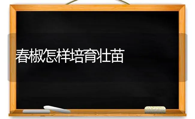 春椒怎样培育壮苗 | 养殖技术大全