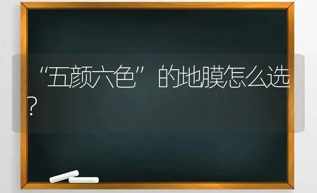 “五颜六色”的地膜怎么选? | 养殖技术大全