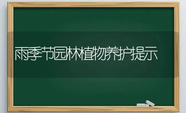 雨季节园林植物养护提示 | 养殖知识