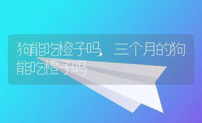 狗能吃橙子吗,三个月的狗能吃橙子吗 | 养殖资料