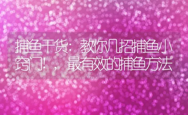 捕鱼干货:教你几招捕鱼小窍门!,最有效的捕鱼方法 | 养殖学堂