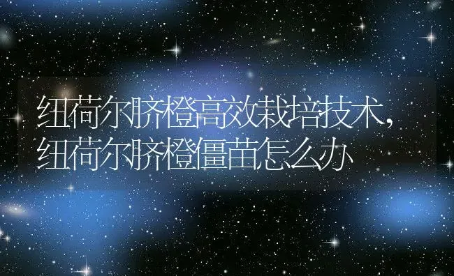 纽荷尔脐橙高效栽培技术,纽荷尔脐橙僵苗怎么办 | 养殖学堂