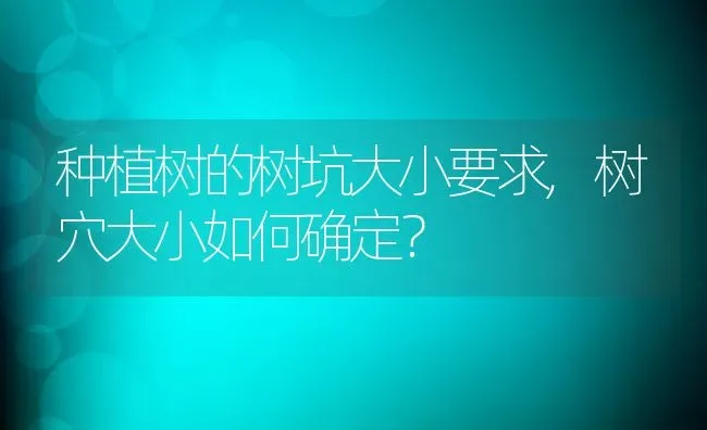 种植树的树坑大小要求,树穴大小如何确定？ | 养殖科普