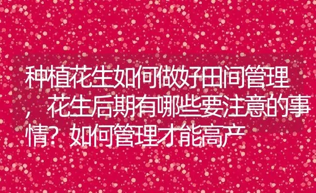 种植花生如何做好田间管理,花生后期有哪些要注意的事情？如何管理才能高产 | 养殖学堂