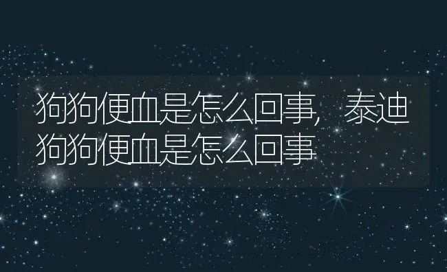 狗狗便血是怎么回事,泰迪狗狗便血是怎么回事 | 养殖资料