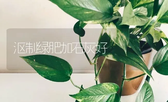 沤制绿肥加石灰好 | 养殖知识