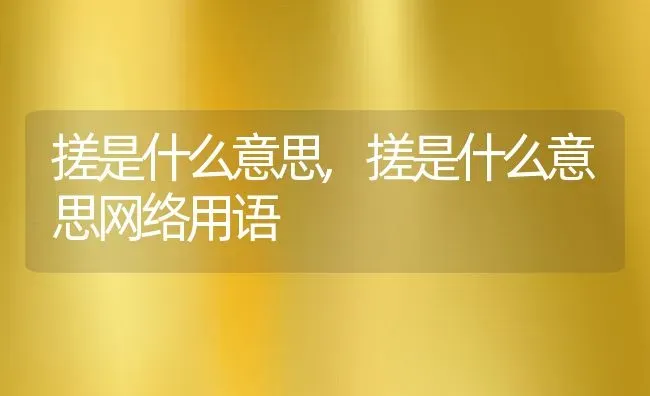 搓是什么意思,搓是什么意思网络用语 | 养殖资料