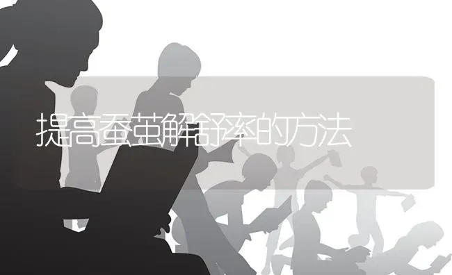 提高蚕茧解舒率的方法 | 养殖技术大全