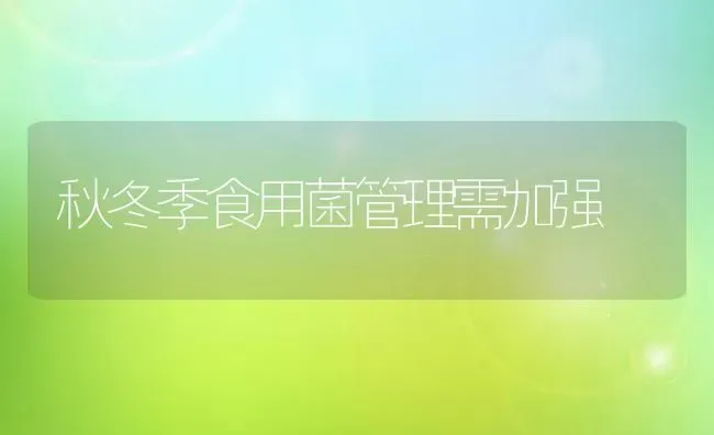 秋冬季食用菌管理需加强 | 养殖技术大全