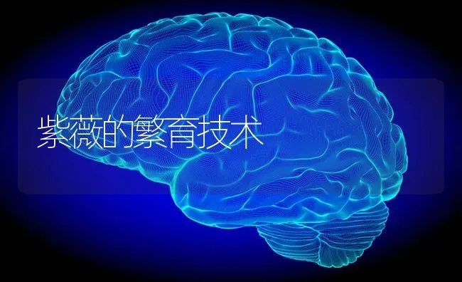 紫薇的繁育技术 | 养殖知识