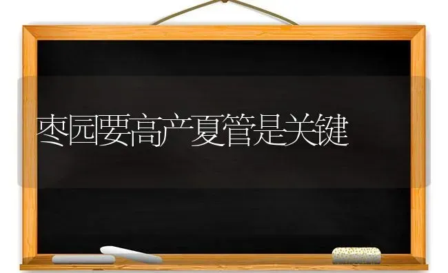 高产奶牛产后瘫痪防治措施 | 养殖技术大全