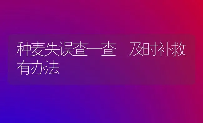 种麦失误查一查 及时补救有办法 | 养殖知识