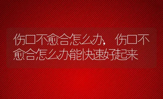 伤口不愈合怎么办,伤口不愈合怎么办能快速好起来 | 养殖科普