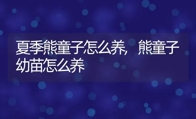 夏季熊童子怎么养,熊童子幼苗怎么养 | 养殖学堂