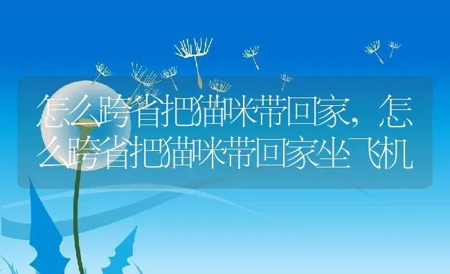 怎么跨省把猫咪带回家,怎么跨省把猫咪带回家坐飞机 | 养殖学堂