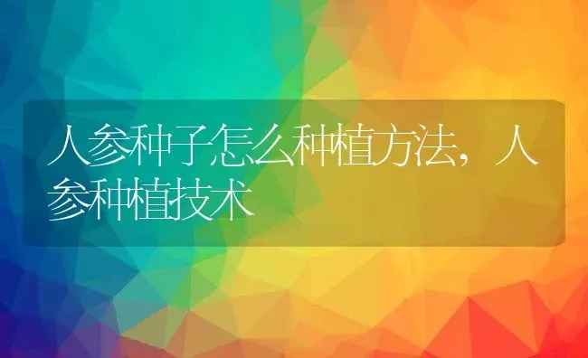 人参种子怎么种植方法,人参种植技术 | 养殖学堂