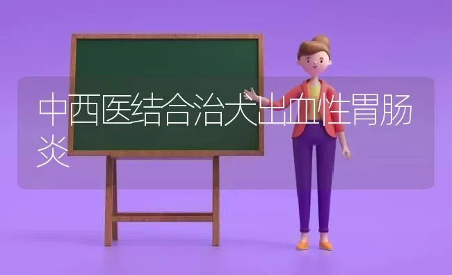 中西医结合治犬出血性胃肠炎 | 养殖技术大全