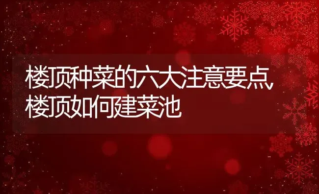 楼顶种菜的六大注意要点,楼顶如何建菜池 | 养殖学堂