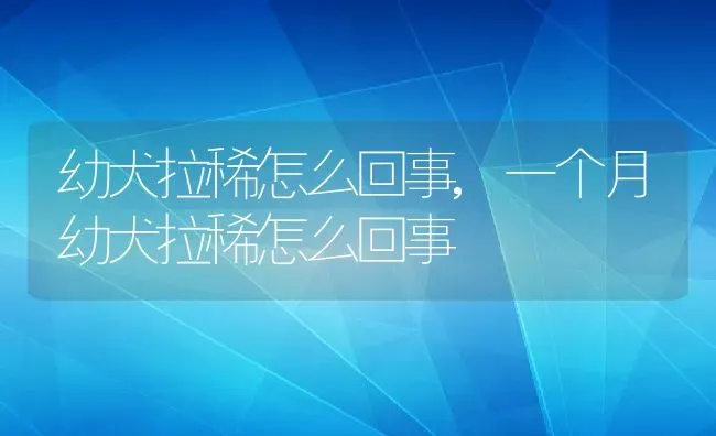 幼犬拉稀怎么回事,一个月幼犬拉稀怎么回事 | 养殖资料