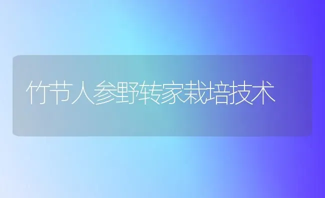 竹节人参野转家栽培技术 | 养殖知识