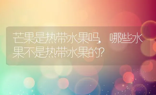 芒果是热带水果吗,哪些水果不是热带水果的？ | 养殖科普