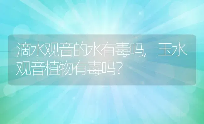 滴水观音的水有毒吗,玉水观音植物有毒吗？ | 养殖科普