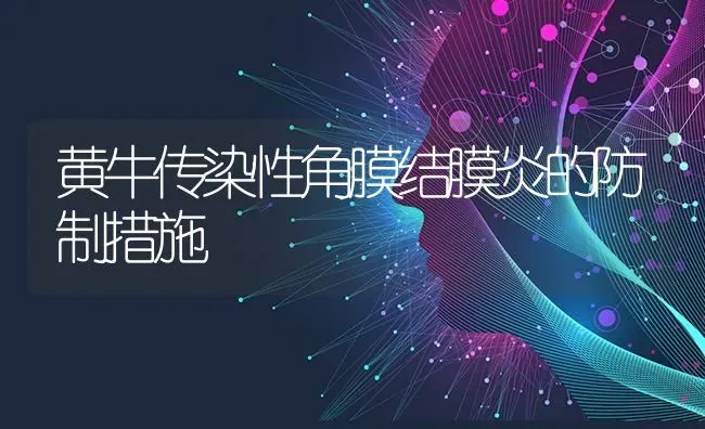 黄牛传染性角膜结膜炎的防制措施 | 养殖知识