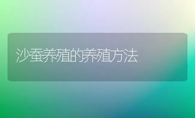 沙蚕养殖的养殖方法 | 养殖技术大全
