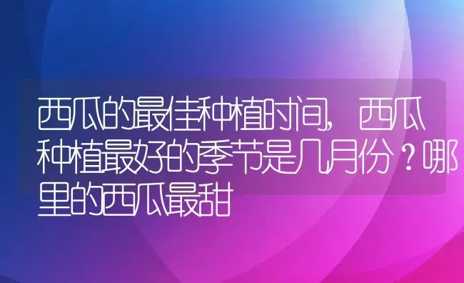 西瓜的最佳种植时间,西瓜种植最好的季节是几月份？哪里的西瓜最甜 | 养殖学堂