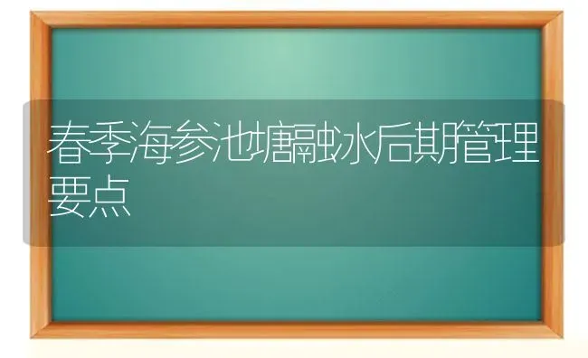 春季海参池塘融冰后期管理要点 | 养殖技术大全