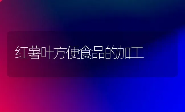 红薯叶方便食品的加工 | 养殖技术大全