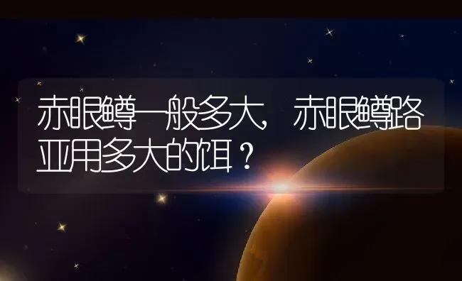 赤眼鳟一般多大,赤眼鳟路亚用多大的饵？ | 养殖科普