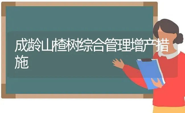 成龄山楂树综合管理增产措施 | 养殖知识