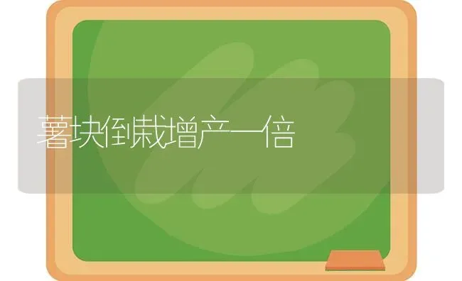 薯块倒栽增产一倍 | 养殖技术大全