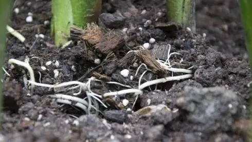 种花泥土去哪里找,请问哪些泥土适合盆栽？家里种菜的可以吗？