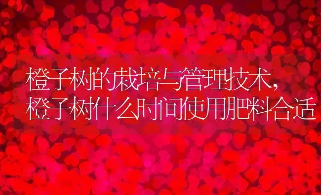 橙子树的栽培与管理技术,橙子树什么时间使用肥料合适 | 养殖学堂