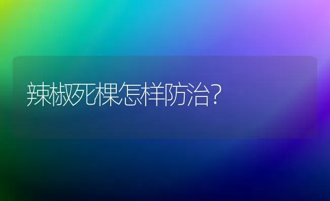 辣椒死棵怎样防治? | 养殖技术大全