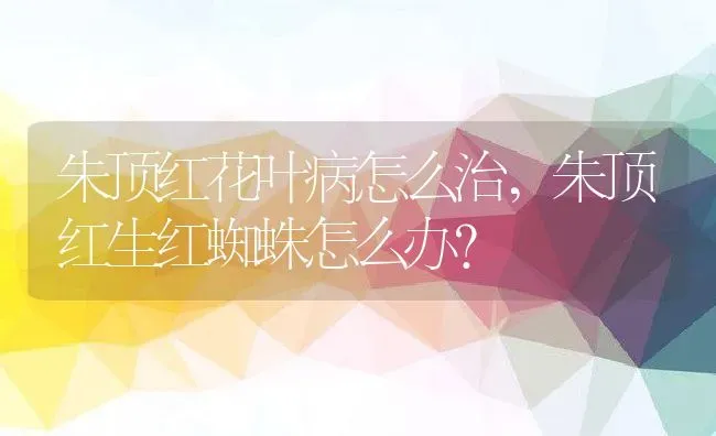 朱顶红花叶病怎么治,朱顶红生红蜘蛛怎么办？ | 养殖科普