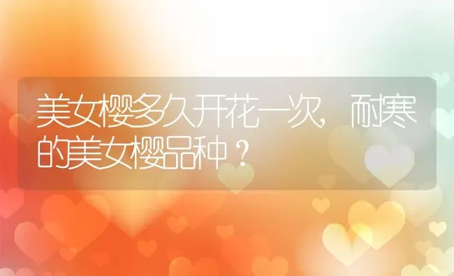 美女樱多久开花一次,耐寒的美女樱品种？ | 养殖科普