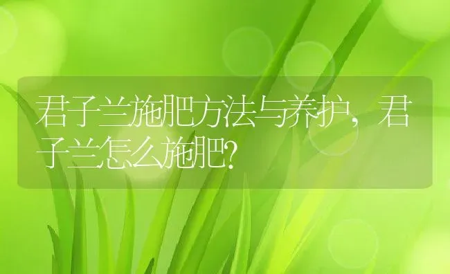 君子兰施肥方法与养护,君子兰怎么施肥？ | 养殖科普