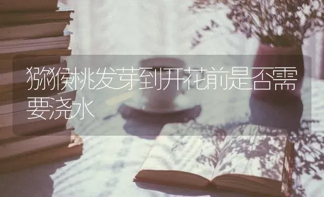 猕猴桃发芽到开花前是否需要浇水 | 养殖技术大全