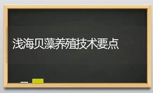 浅海贝藻养殖技术要点 | 养殖技术大全