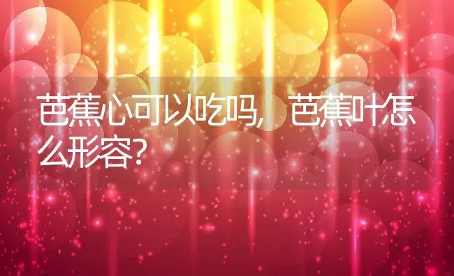 芭蕉心可以吃吗,芭蕉叶怎么形容？ | 养殖科普